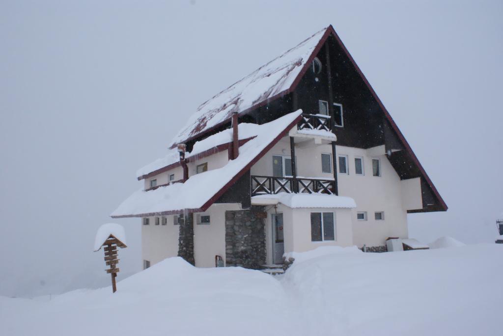 Snow House Hostel Gudauri Εξωτερικό φωτογραφία