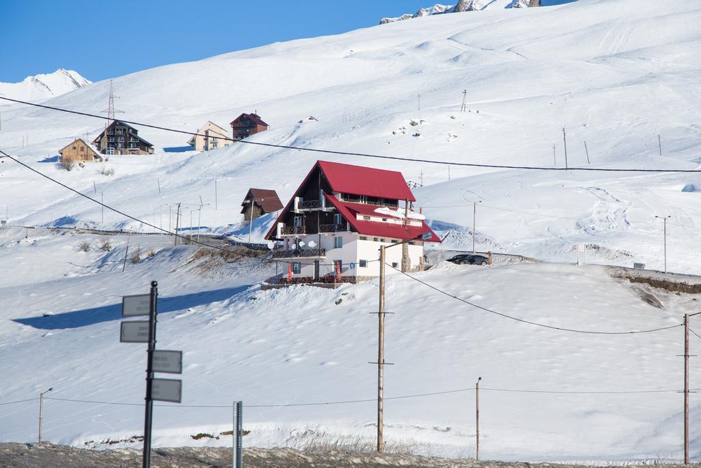Snow House Hostel Gudauri Εξωτερικό φωτογραφία